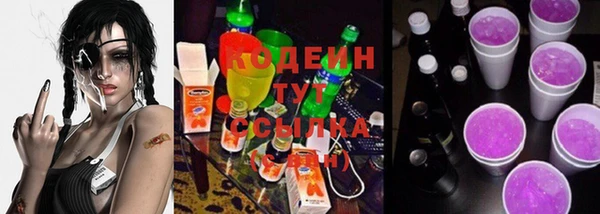 стаф Богородицк