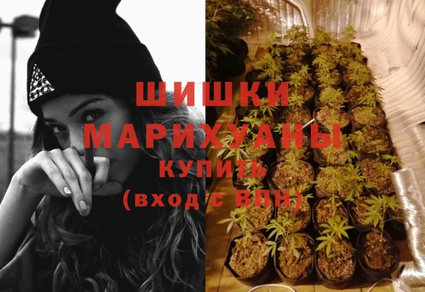 ГАЛЛЮЦИНОГЕННЫЕ ГРИБЫ Богданович