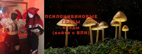 ГАЛЛЮЦИНОГЕННЫЕ ГРИБЫ Беломорск