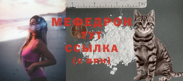 стаф Богородицк