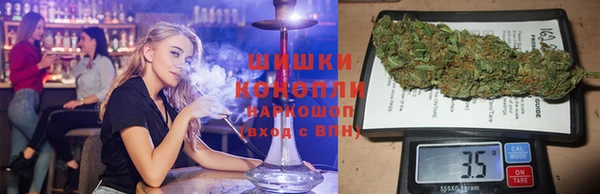 стаф Богородицк