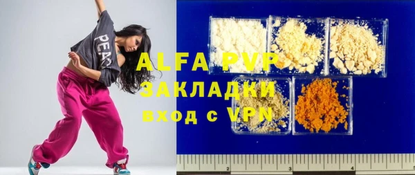 ГАЛЛЮЦИНОГЕННЫЕ ГРИБЫ Богданович