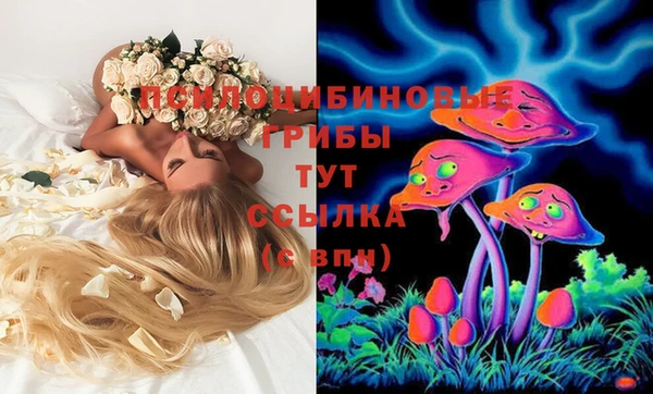 ГАЛЛЮЦИНОГЕННЫЕ ГРИБЫ Беломорск