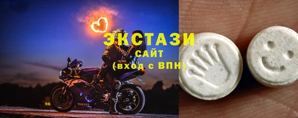 ГАЛЛЮЦИНОГЕННЫЕ ГРИБЫ Богданович