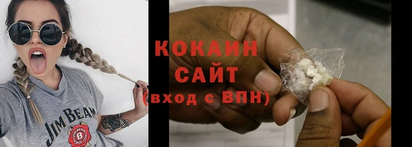 ГАЛЛЮЦИНОГЕННЫЕ ГРИБЫ Богданович