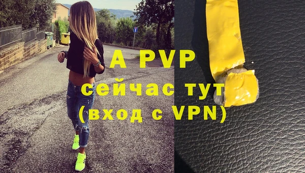 стаф Богородицк