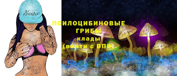 ГАЛЛЮЦИНОГЕННЫЕ ГРИБЫ Богданович