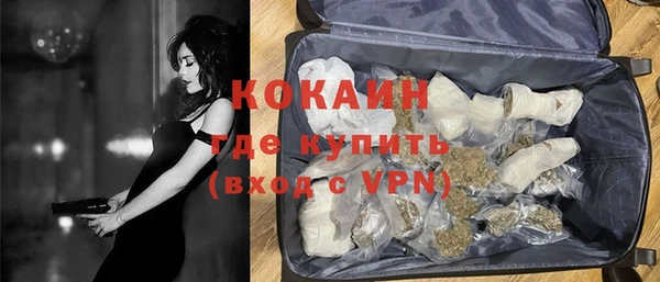 крисы Белокуриха